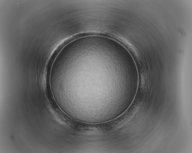 X0000114150580200910151546