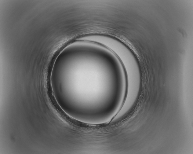 X0000114150581200910151546