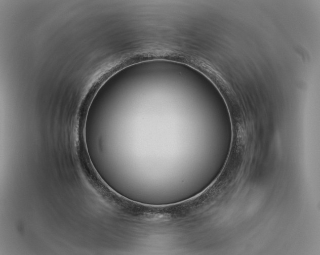 X0000114150582200910151546