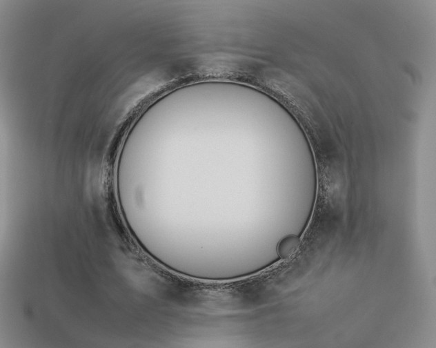 X0000114150583200910151546
