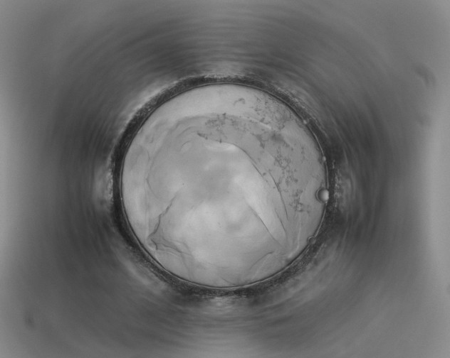 X0000114150584200910151546