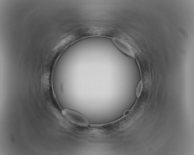 X0000114150585200910151546