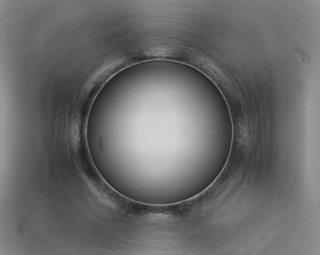 X0000114150586200910151546