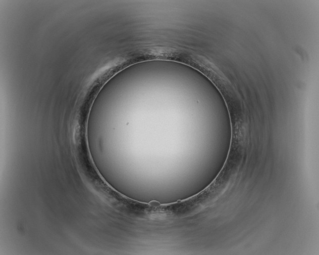 X0000114150587200910151546