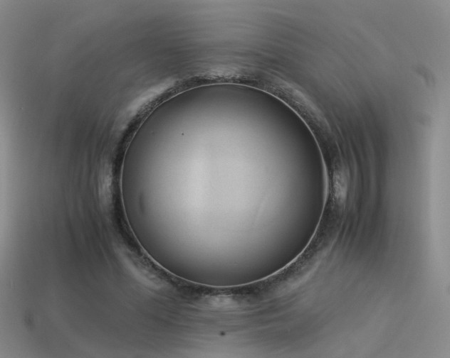 X0000114150588200910151546