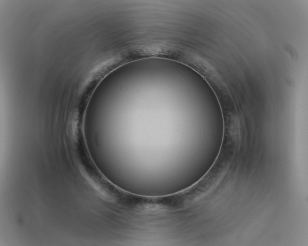 X0000114150590200910151546