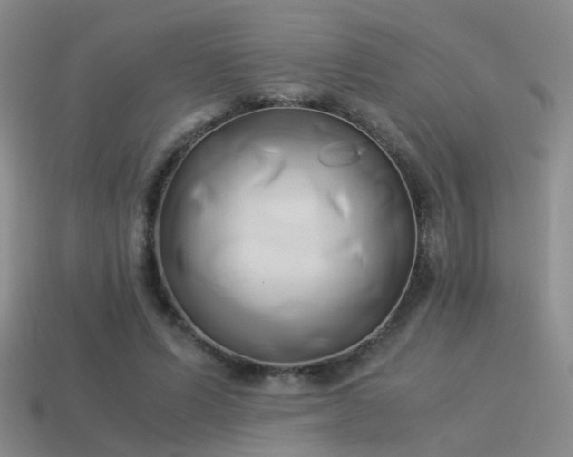 X0000114150591200910151546