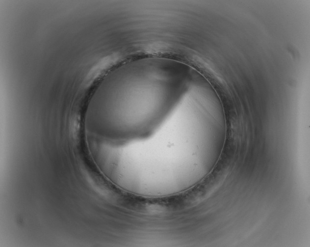 X0000114150592200910151546