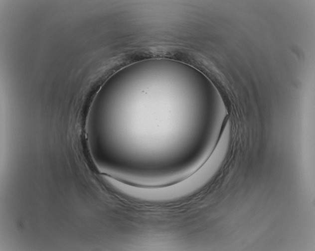 X0000114150593200910151546