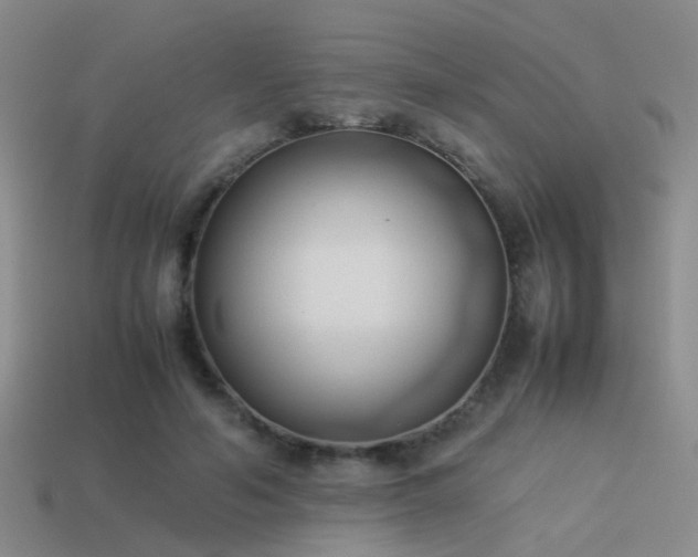 X0000114150594200910151546