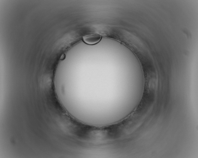 X0000114150595200910151546