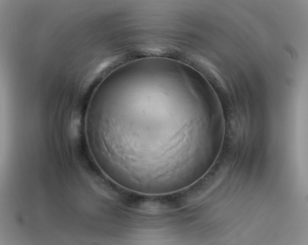 X0000114150596200910151546