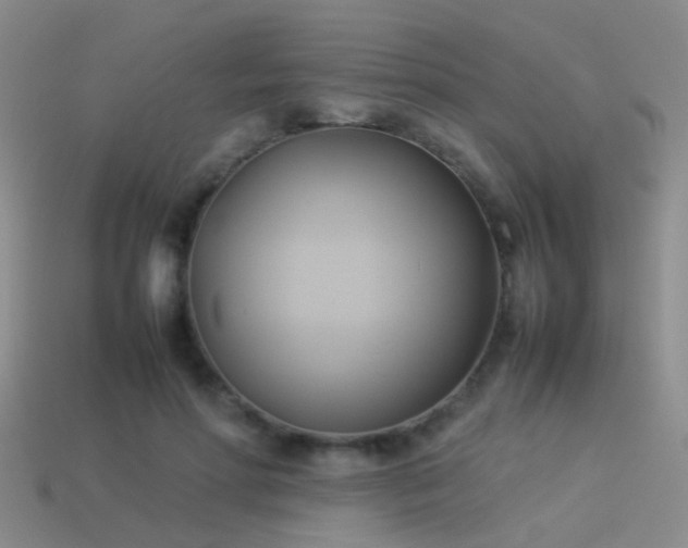 X0000114150598200910151546