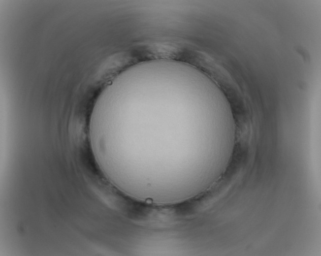 X0000114150599200910151546