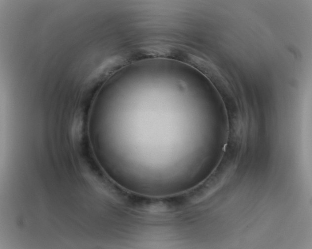 X0000114150600200910151546