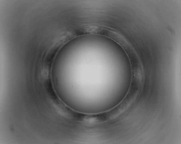 X0000114150602200910151546
