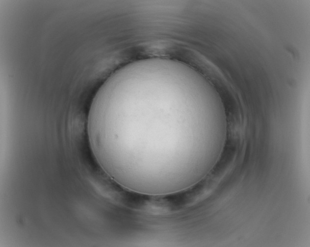 X0000114150603200910151546
