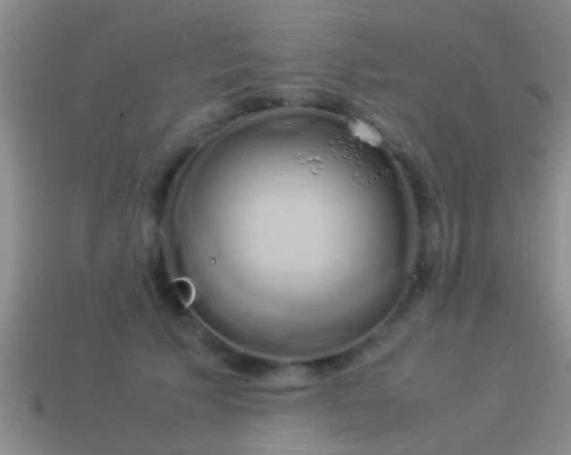 X0000114150609200910151546