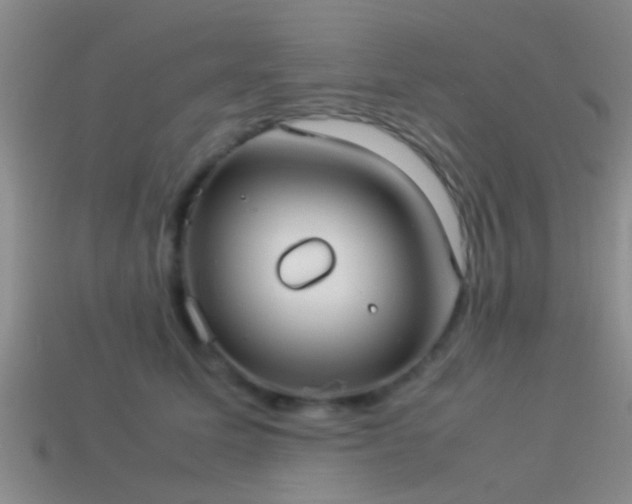 X0000114150611200910151546