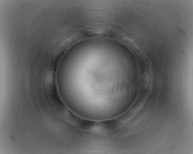 X0000114150612200910151546