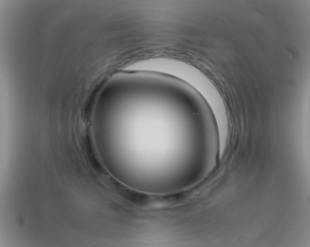 X0000114150613200910151546