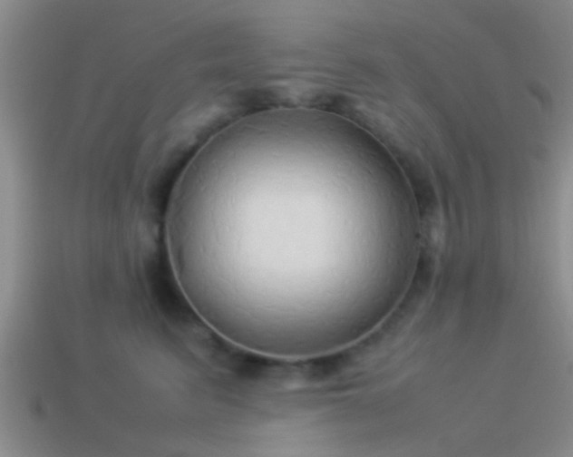 X0000114150615200910151546