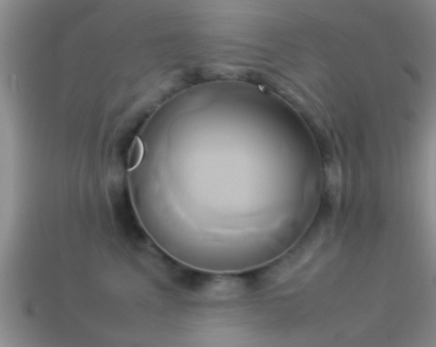 X0000114150617200910151546