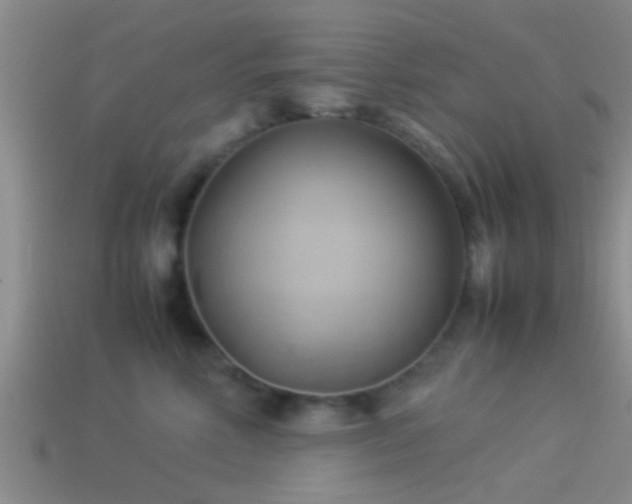 X0000114150618200910151546