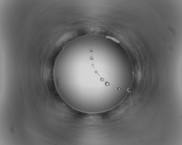 X0000114150619200910151546