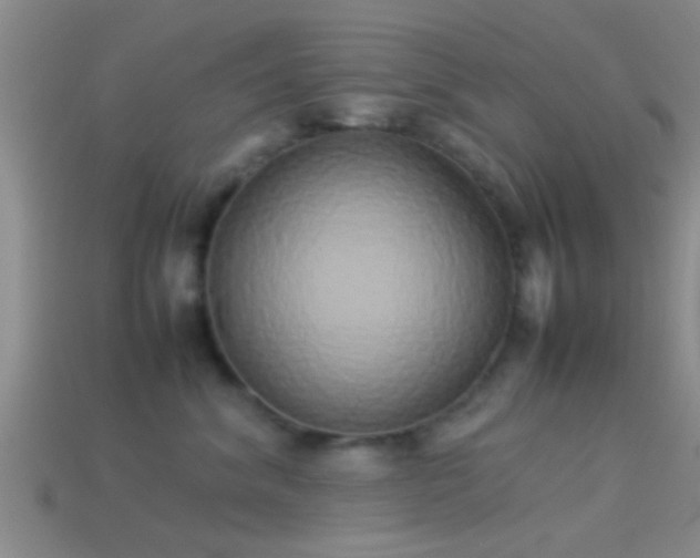 X0000114150620200910151546