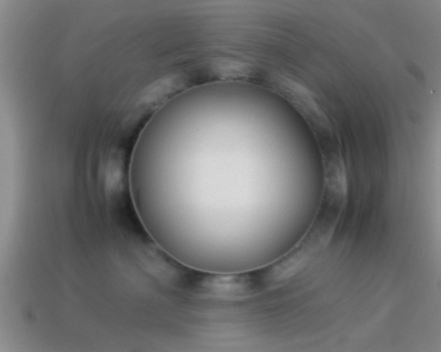 X0000114150622200910151546