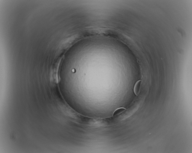 X0000114150624200910151546