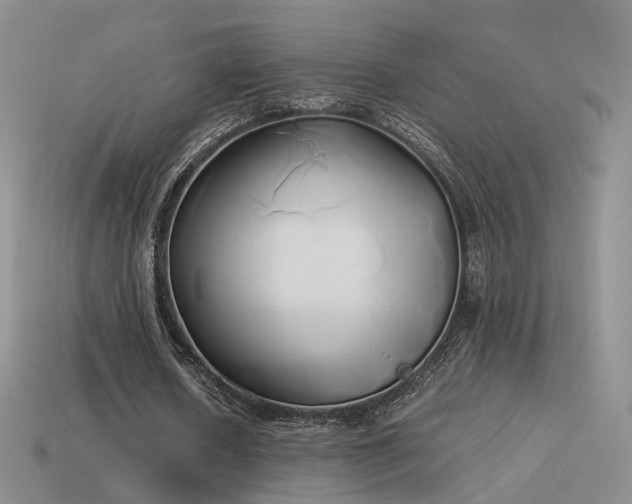 X0000114150626200910151545