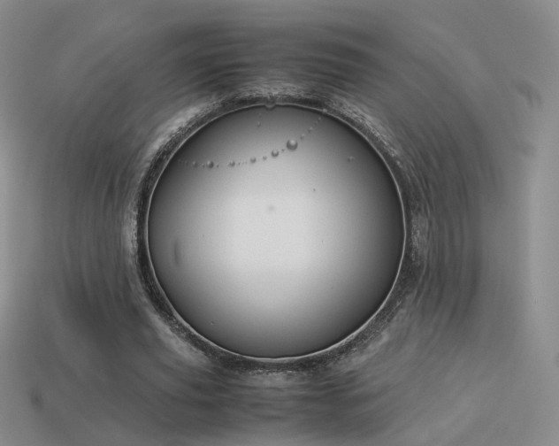 X0000114150629200910151545