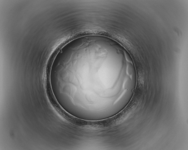 X0000114150630200910151545