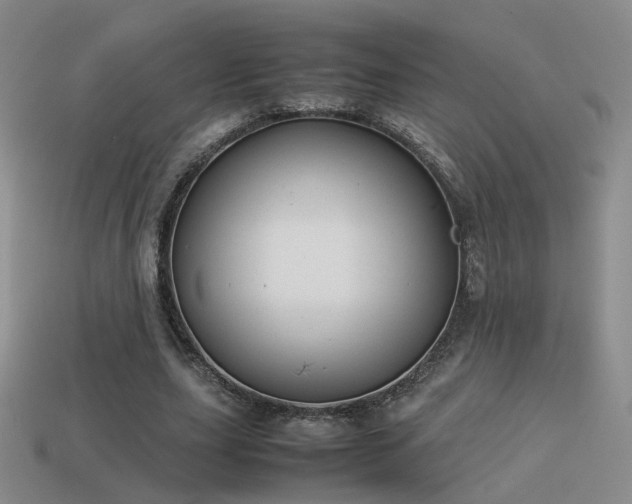 X0000114150631200910151545