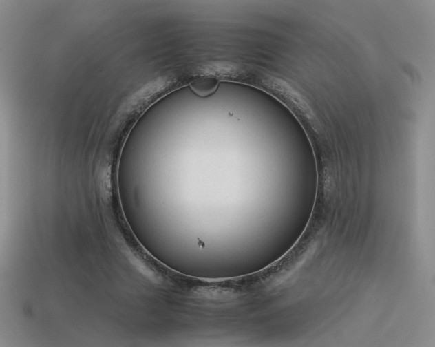 X0000114150633200910151545