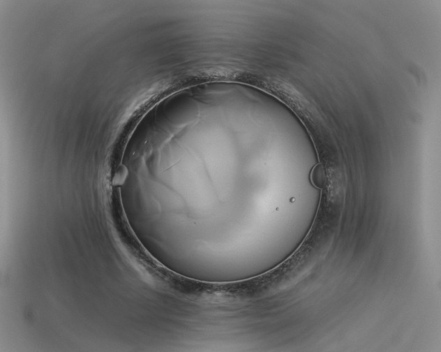 X0000114150634200910151545