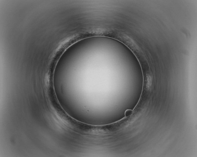 X0000114150636200910151545