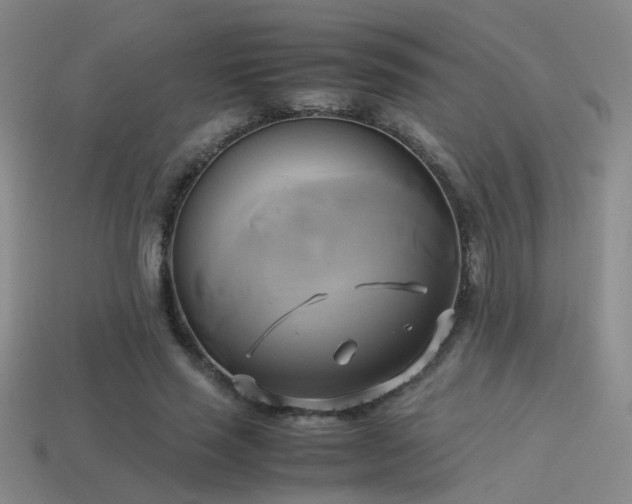 X0000114150637200910151545