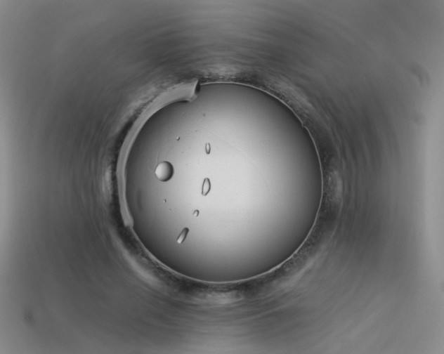 X0000114150638200910151545