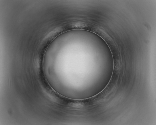 X0000114150639200910151545