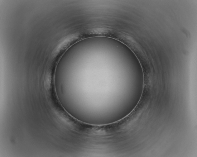 X0000114150640200910151545