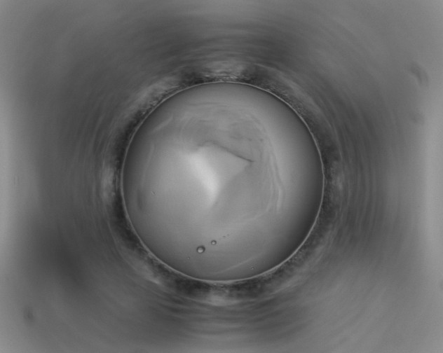 X0000114150641200910151545