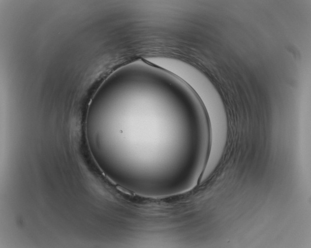 X0000114150642200910151545
