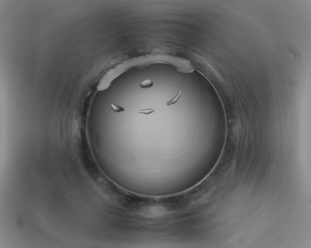 X0000114150643200910151545