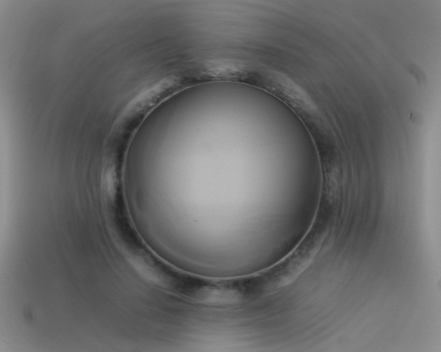 X0000114150644200910151545