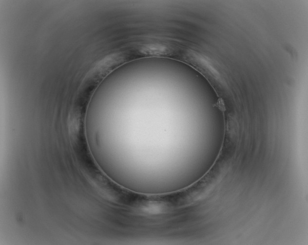X0000114150645200910151545