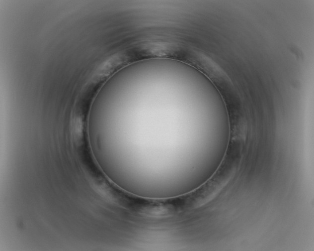X0000114150646200910151545