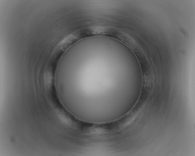 X0000114150648200910151545
